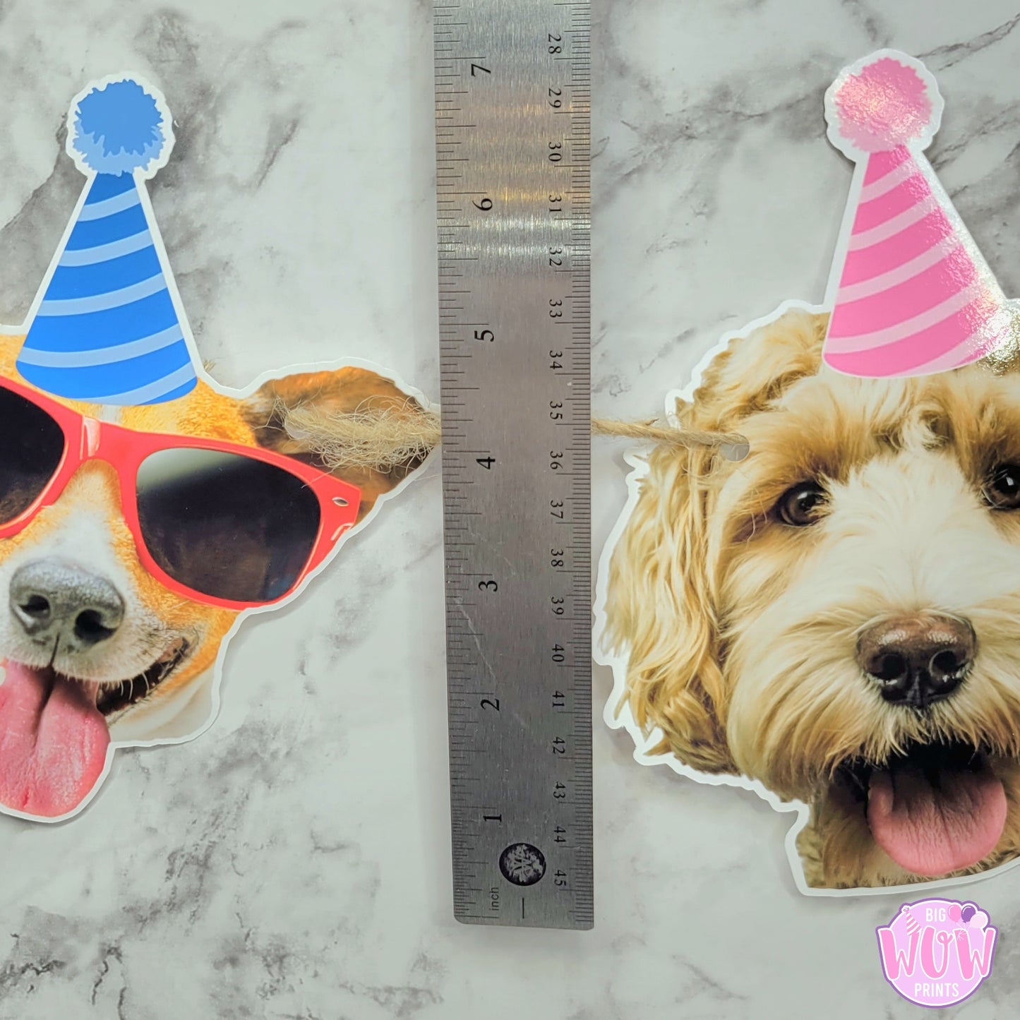 Personalized Photo Banner, Pet Birthday Party Banner, Kids Face Banner, First Birthday Banner For Boy Girl Pets